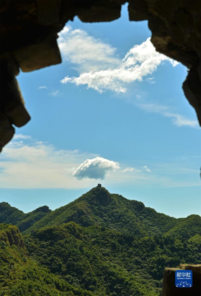 ag平台官网